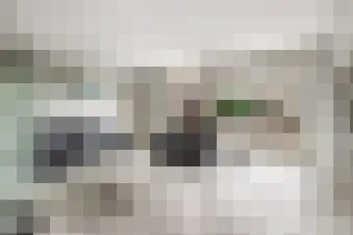 Bingse Boogaard 17 Everdingen thumbnail 7