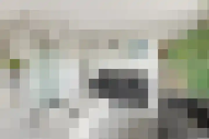 Bingse Boogaard 17 Everdingen thumbnail 8