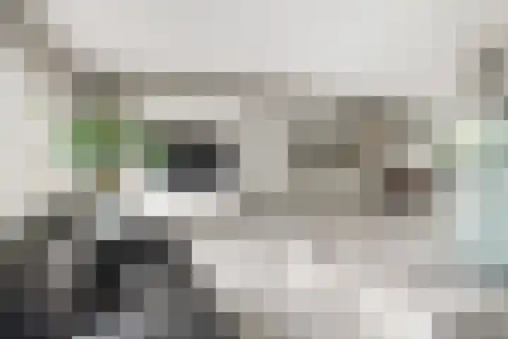 Bingse Boogaard 17 Everdingen thumbnail 9