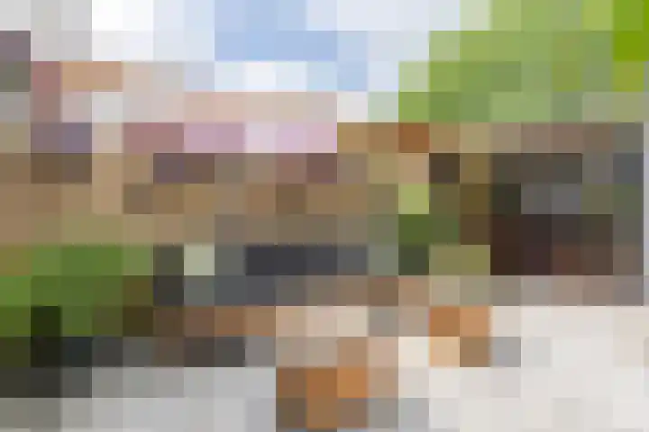 Binkhorst 117 Alphen aan den Rijn thumbnail 10
