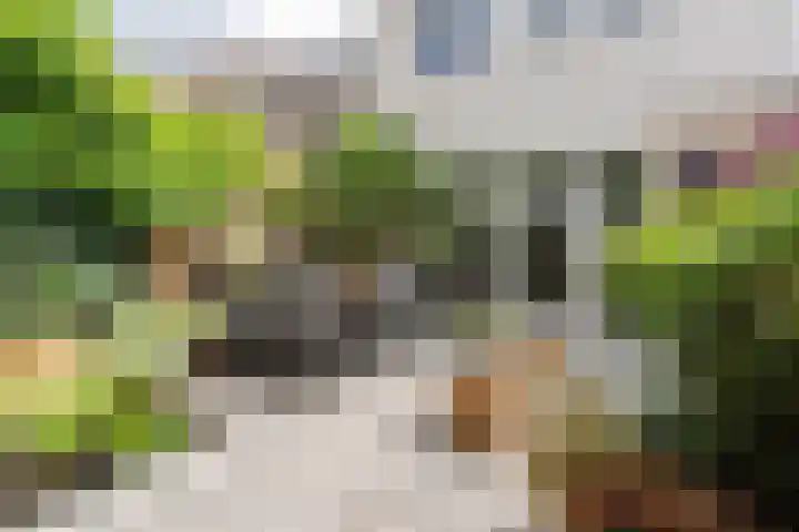 Binkhorst 117 Alphen aan den Rijn thumbnail 11