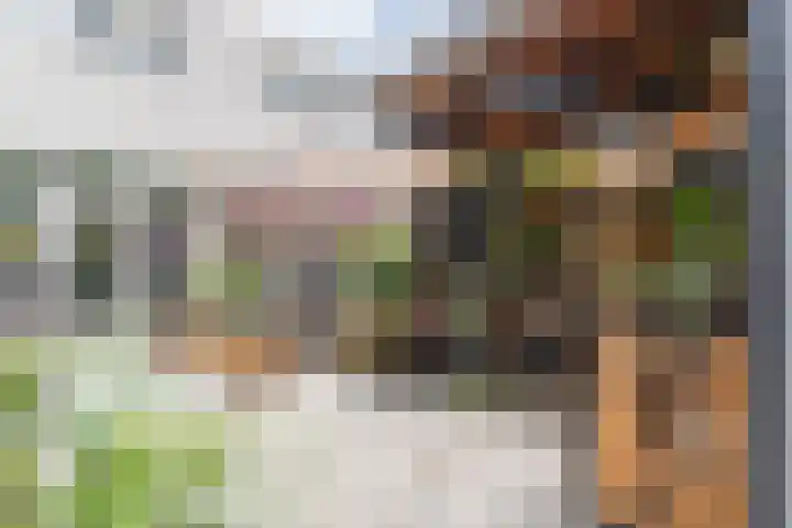 Binkhorst 117 Alphen aan den Rijn thumbnail 12