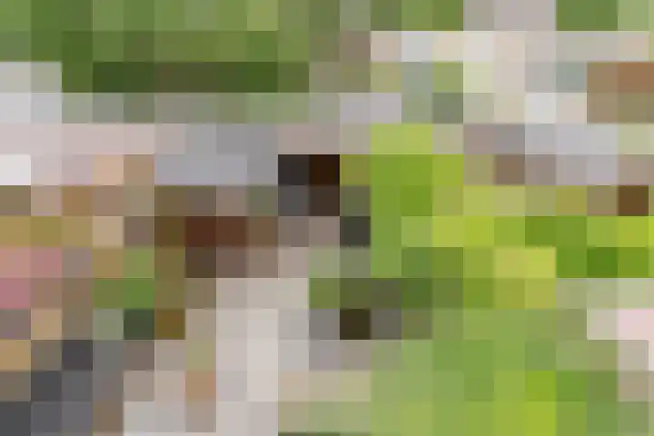 Binkhorst 117 Alphen aan den Rijn thumbnail 28