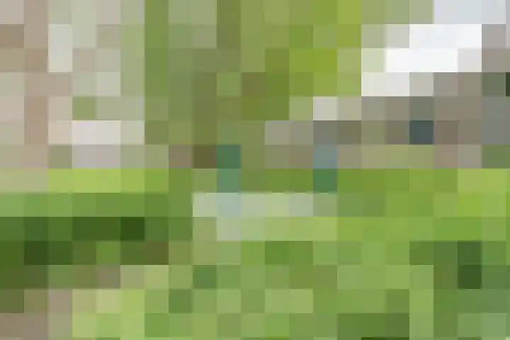 Binkhorst 117 Alphen aan den Rijn thumbnail 31