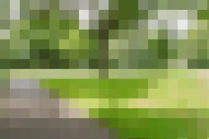 Binkhorst 117 Alphen aan den Rijn thumbnail 32