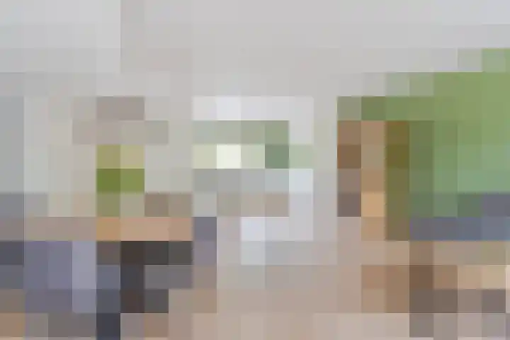 Binkhorst 117 Alphen aan den Rijn thumbnail 5