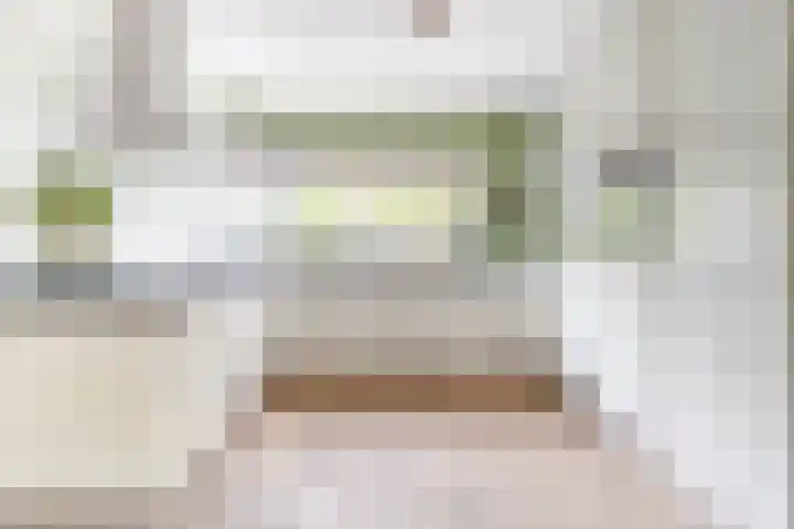Binkhorst 117 Alphen aan den Rijn thumbnail 6