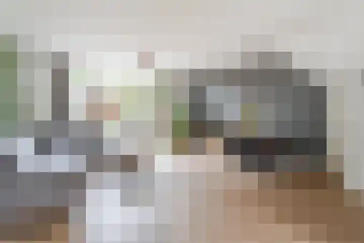 Binkhorst 117 Alphen aan den Rijn thumbnail 8