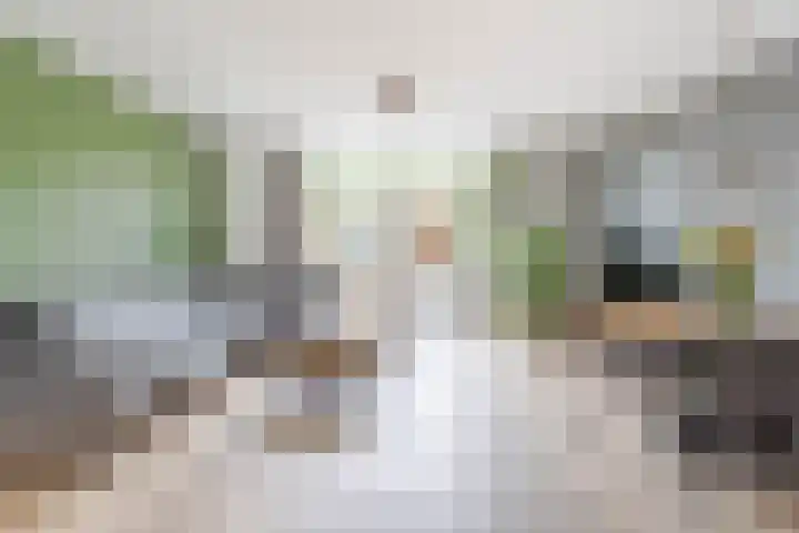 Binkhorst 117 Alphen aan den Rijn thumbnail 9