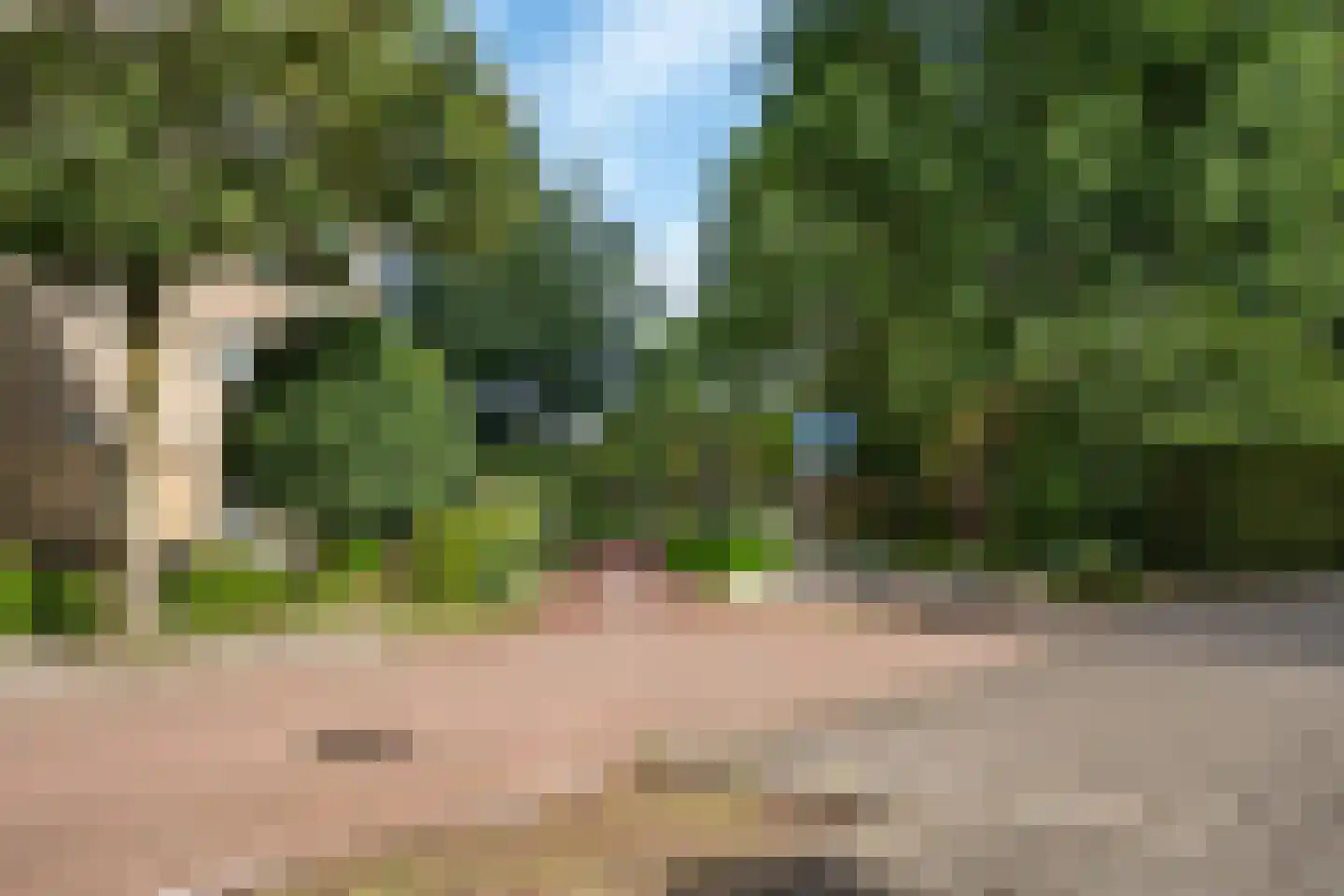 Binkhorst 14 Rotterdam thumbnail 11