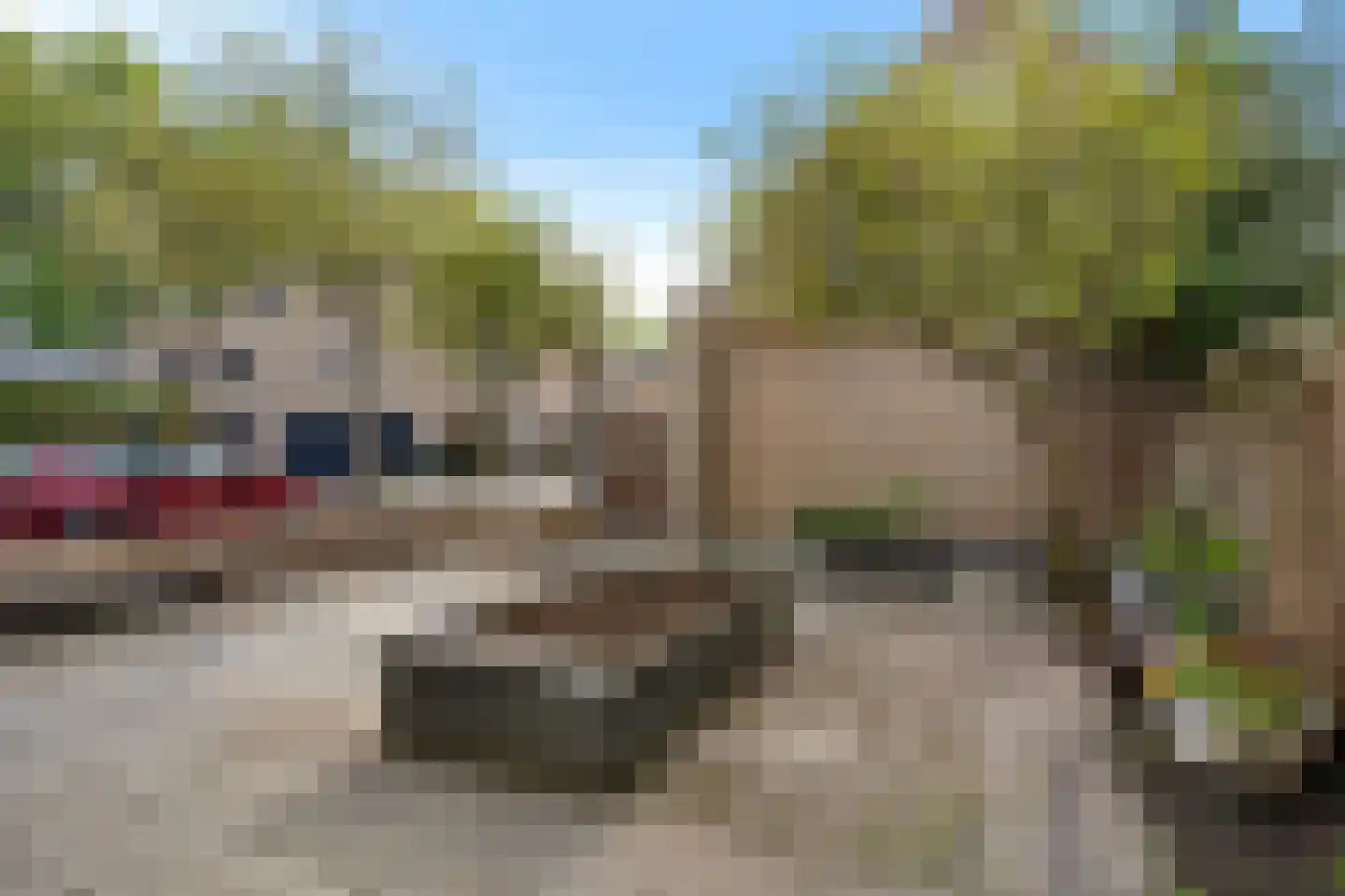 Binkhorst 14 Rotterdam thumbnail 33