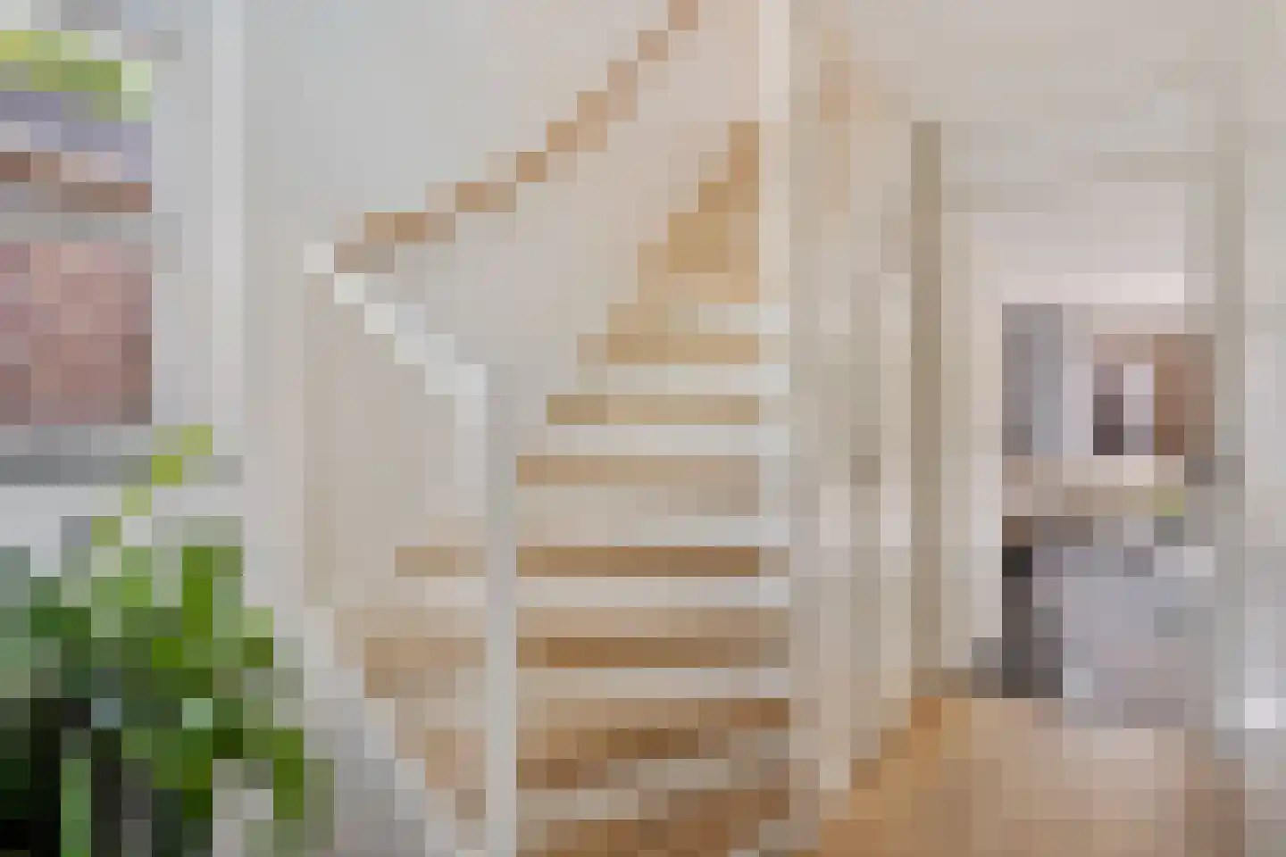 Binkhorst 14 Rotterdam thumbnail 34