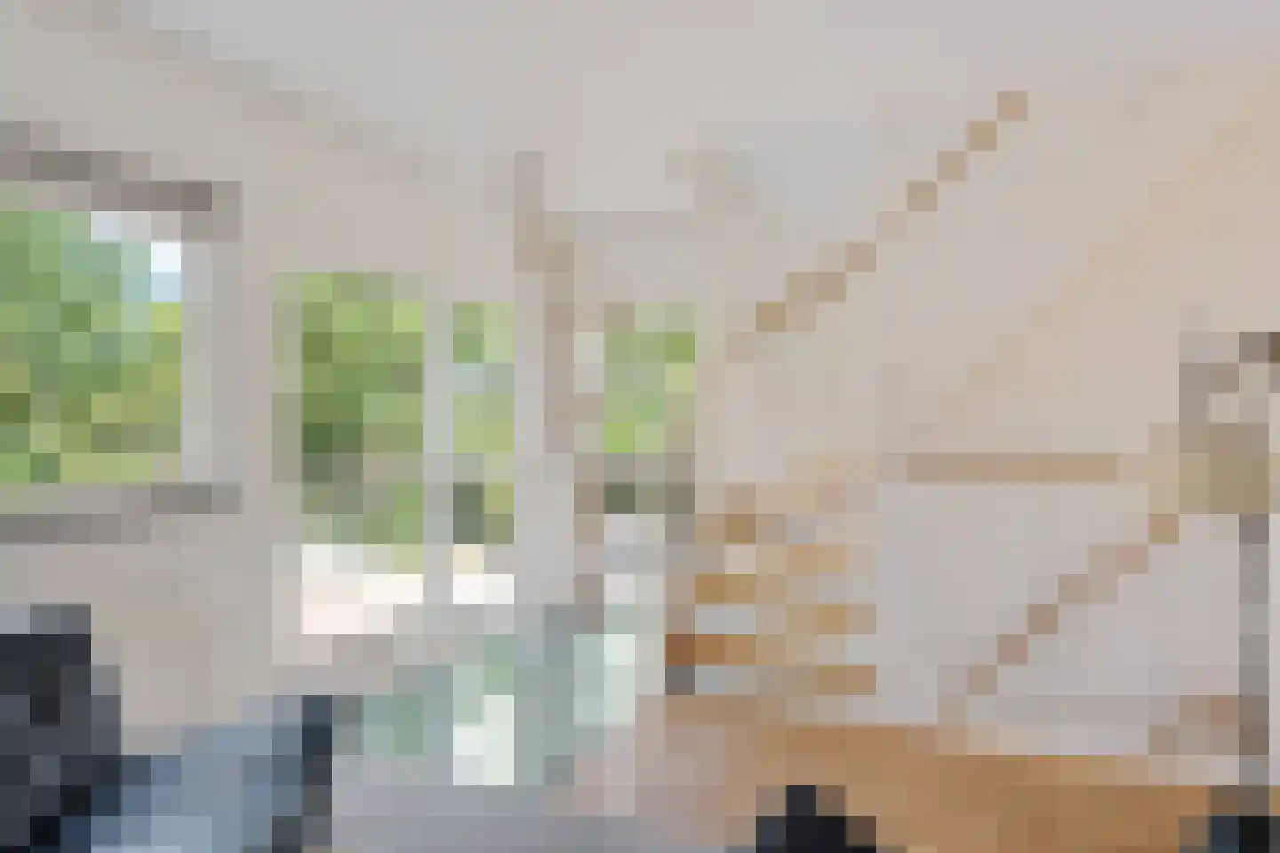 Binkhorst 14 Rotterdam thumbnail 39