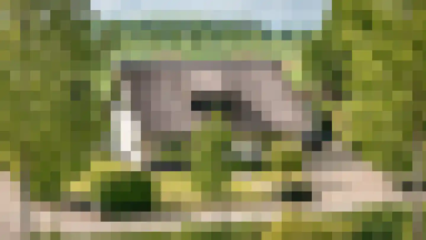 Binnen 12 a Dussen thumbnail 45