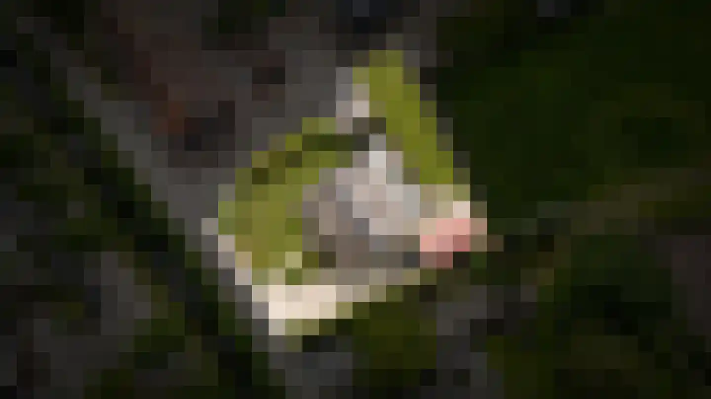 Binnen 12 a Dussen thumbnail 46