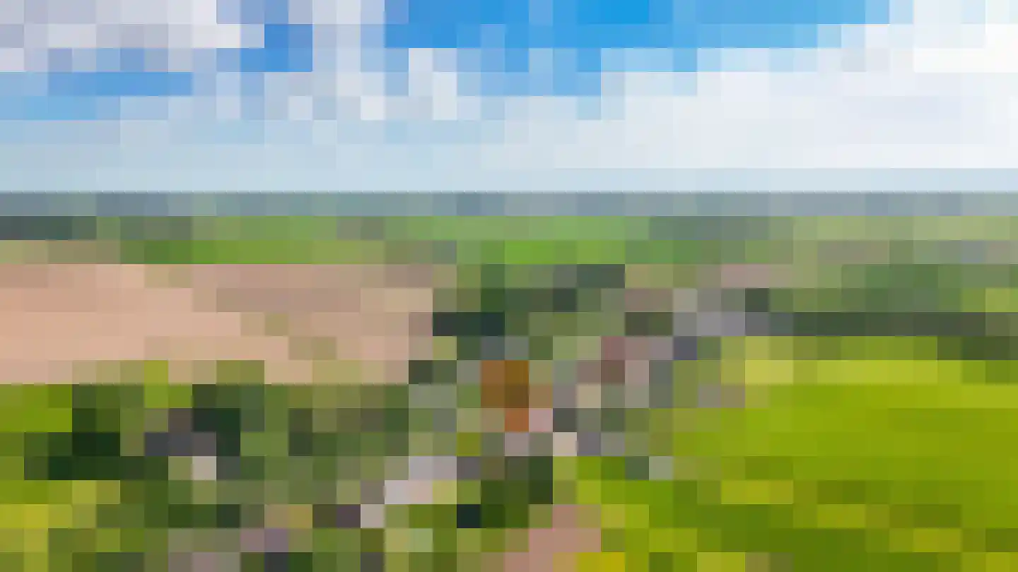 Binnen 12 a Dussen thumbnail 47