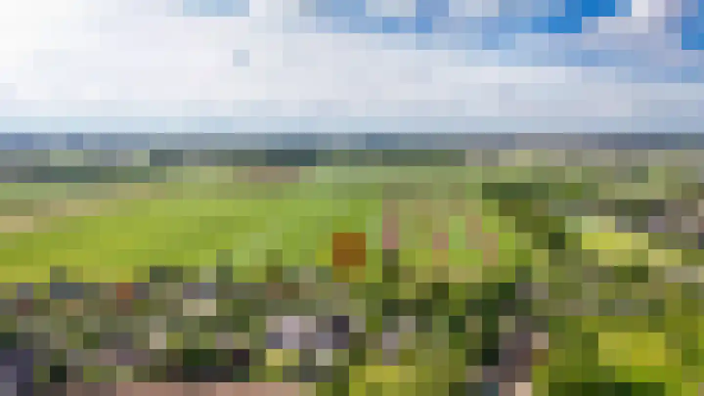 Binnen 12 a Dussen thumbnail 49