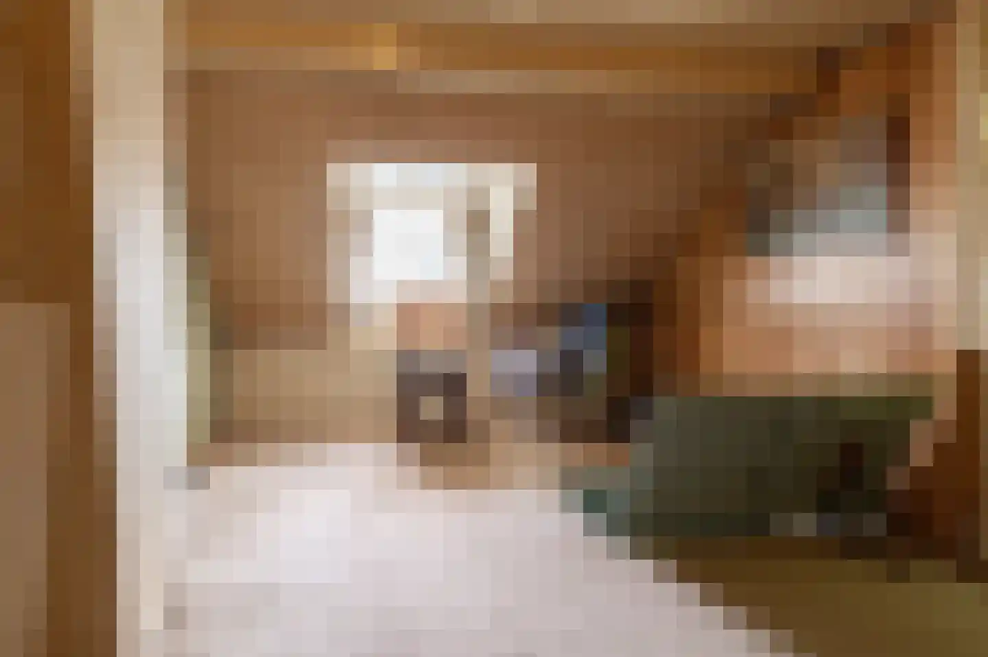 Binnen 6 Dussen thumbnail 24