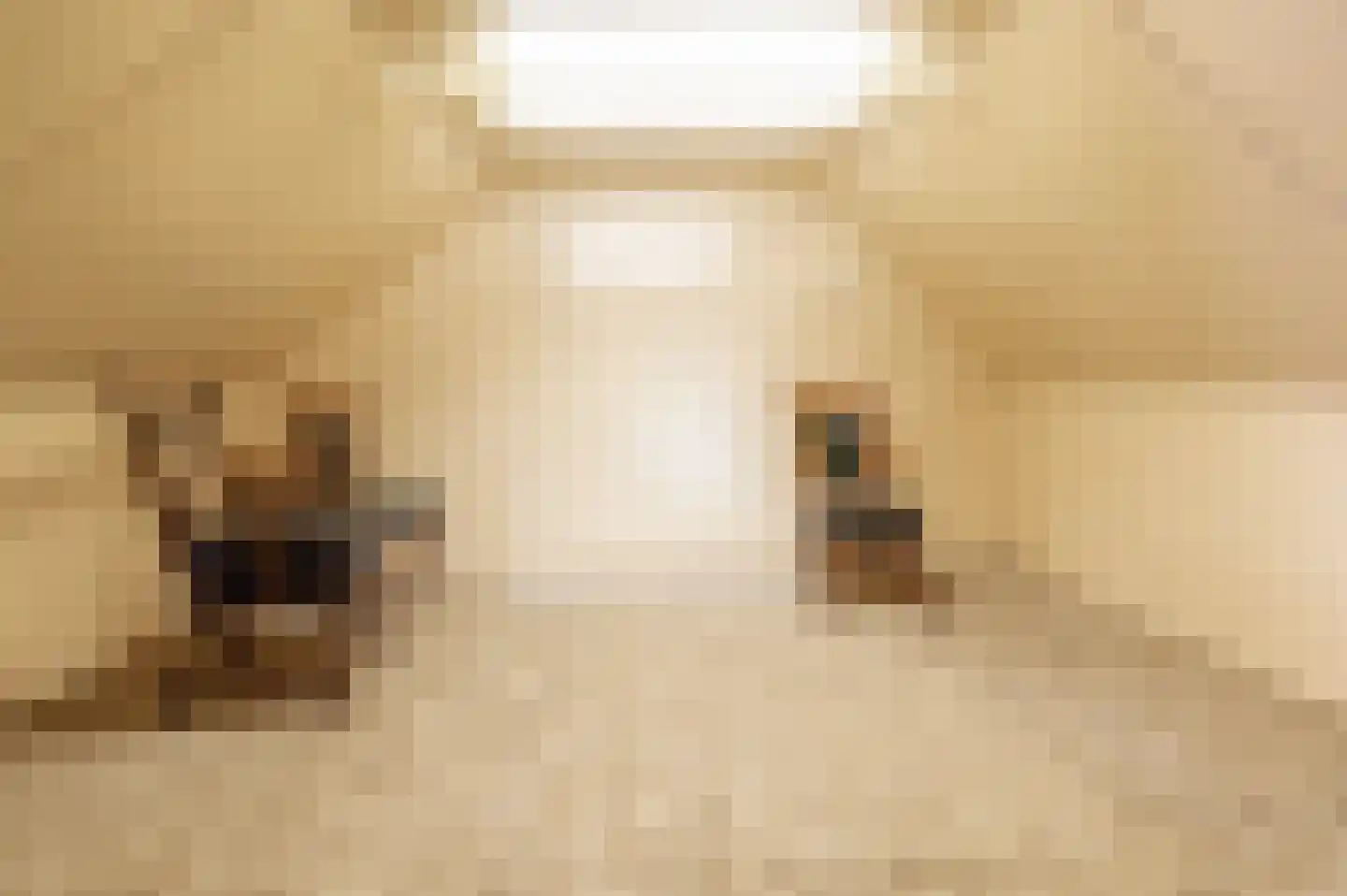 Binnen 6 Dussen thumbnail 27
