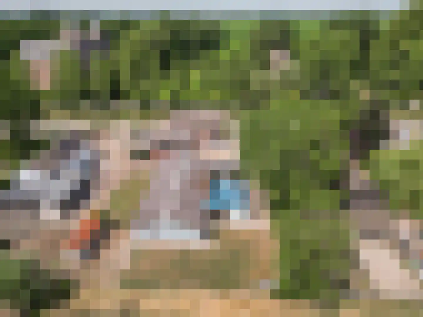 Binnen 6 Dussen thumbnail 29