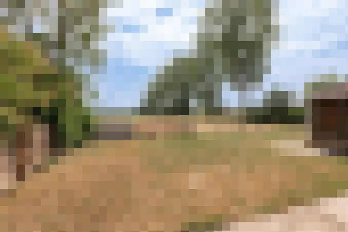 Binnen 6 Dussen thumbnail 32