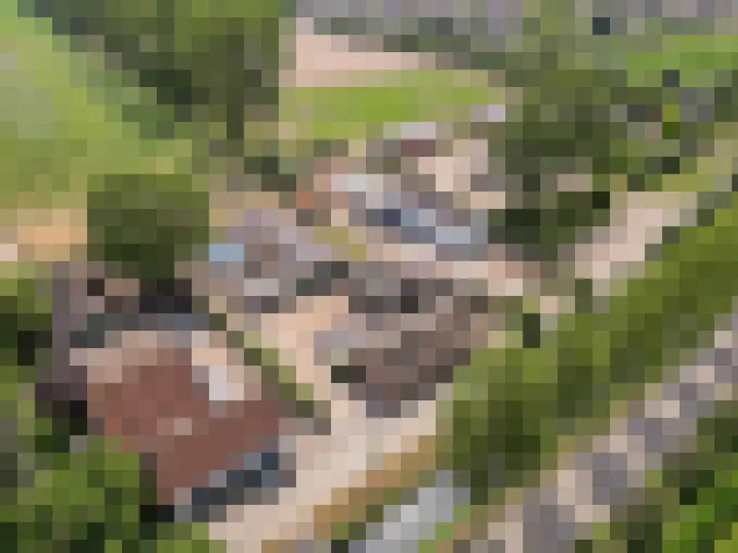 Binnen 6 Dussen thumbnail 33