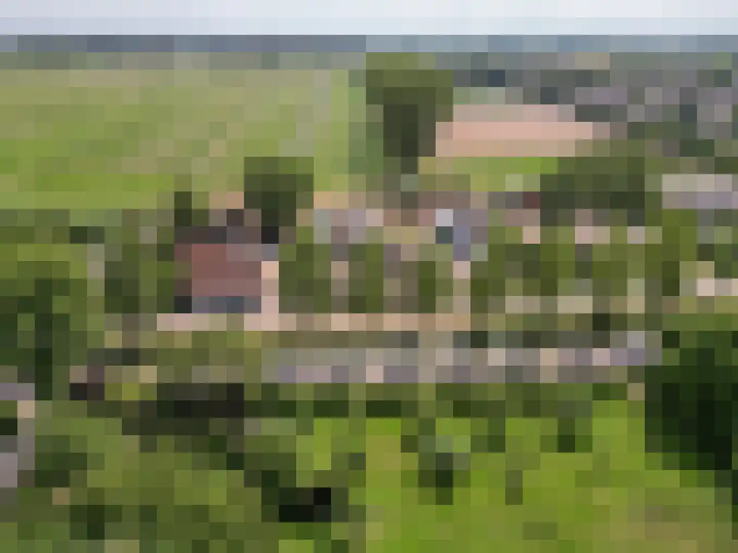 Binnen 6 Dussen thumbnail 34