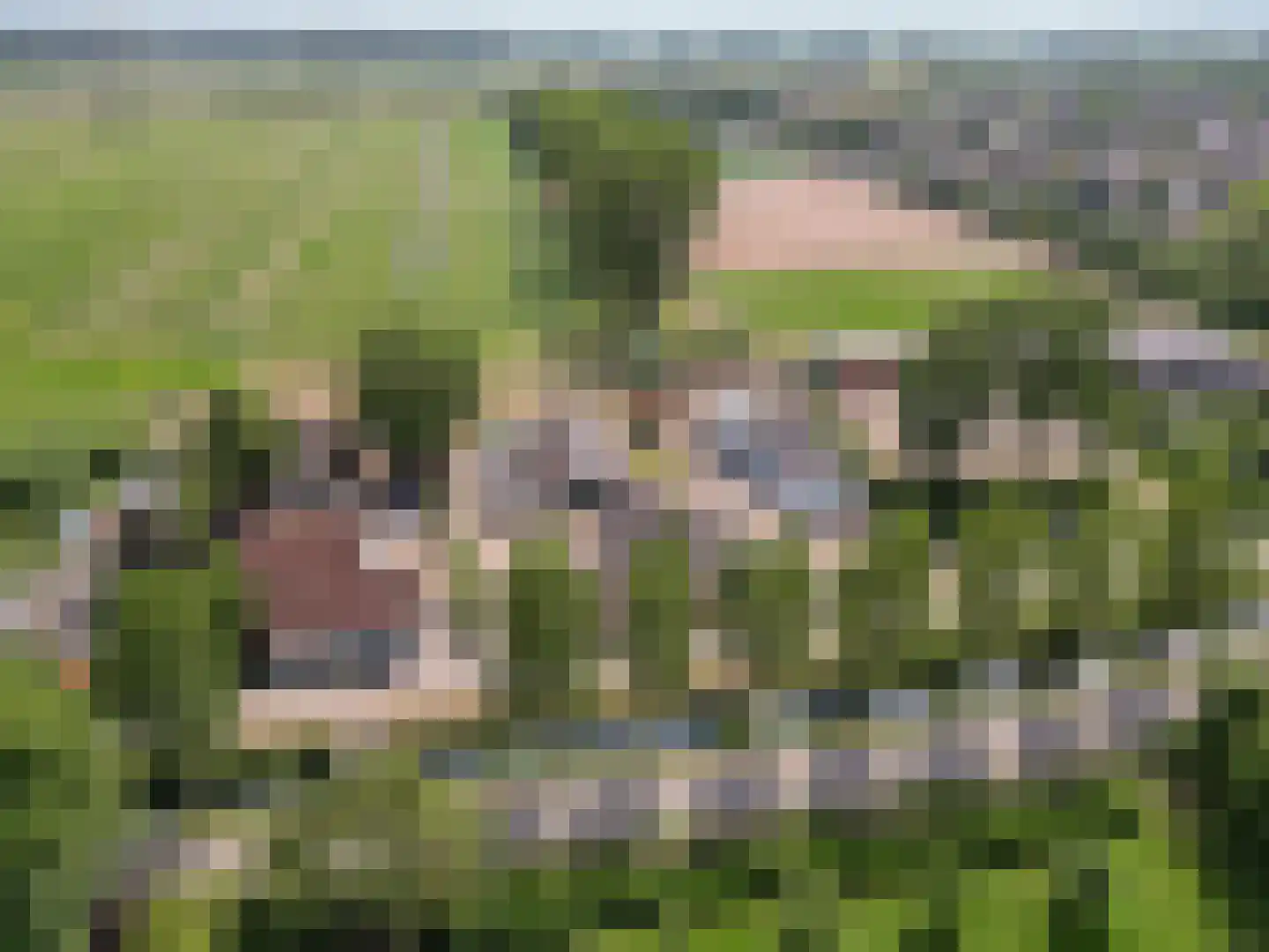 Binnen 6 Dussen thumbnail 5