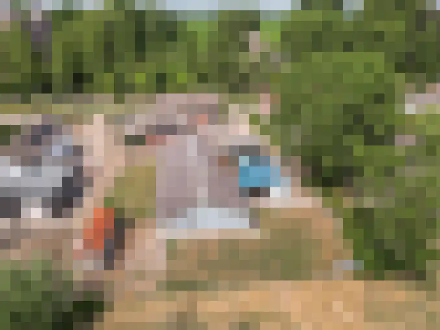 Binnen 6 Dussen thumbnail 9
