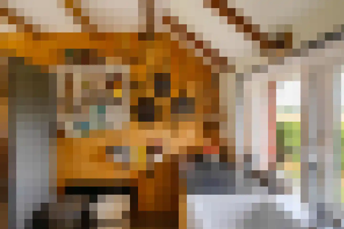 Binnen A.E. 10 Woldendorp thumbnail 13