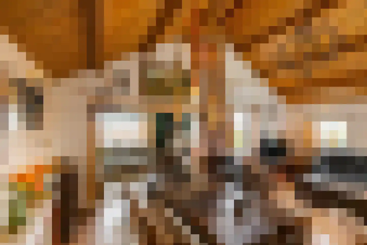 Binnen A.E. 10 Woldendorp thumbnail 28