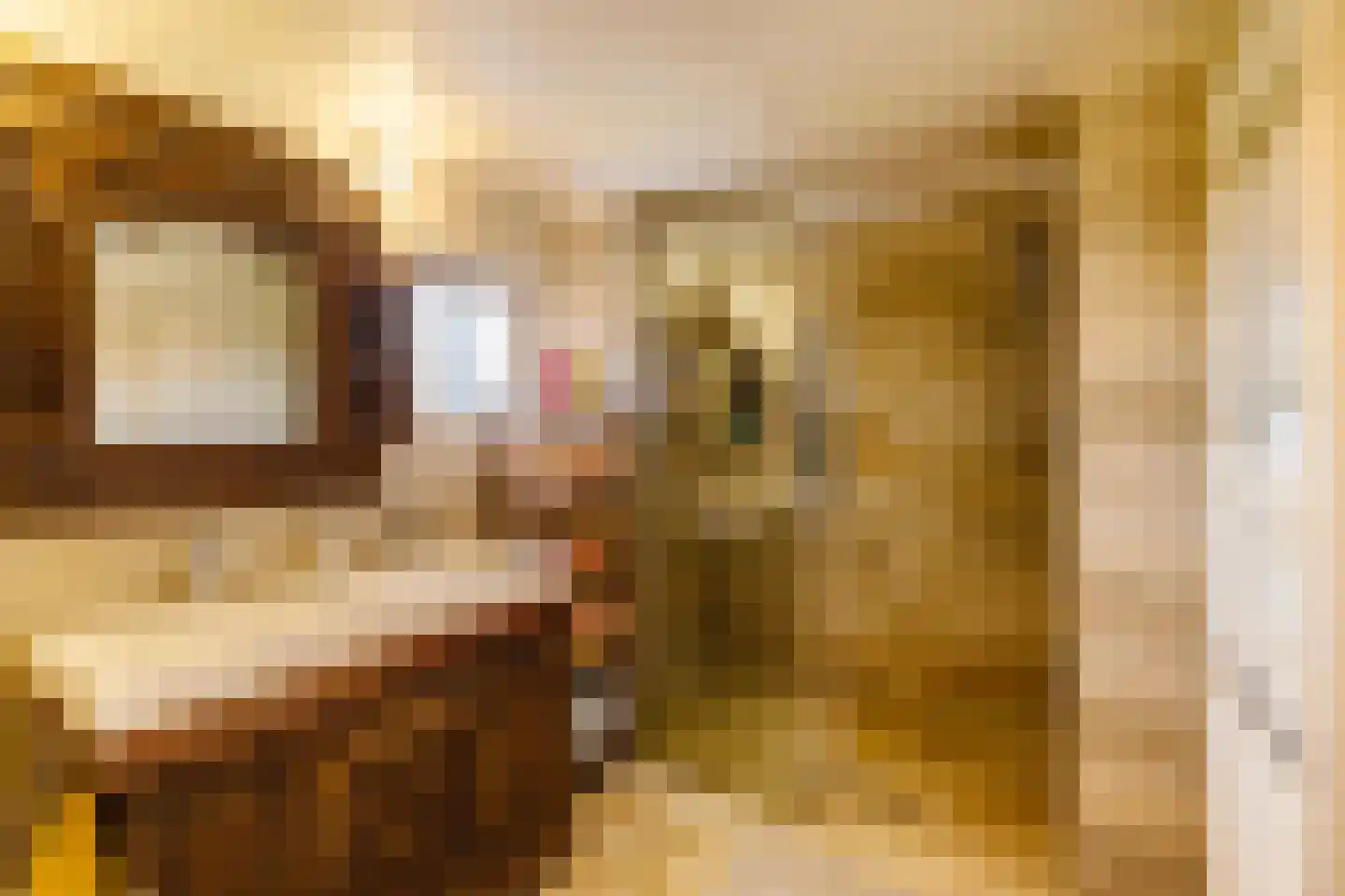 Binnen A.E. 10 Woldendorp thumbnail 36