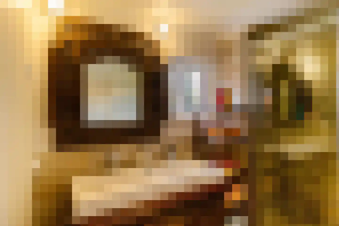 Binnen A.E. 10 Woldendorp thumbnail 37