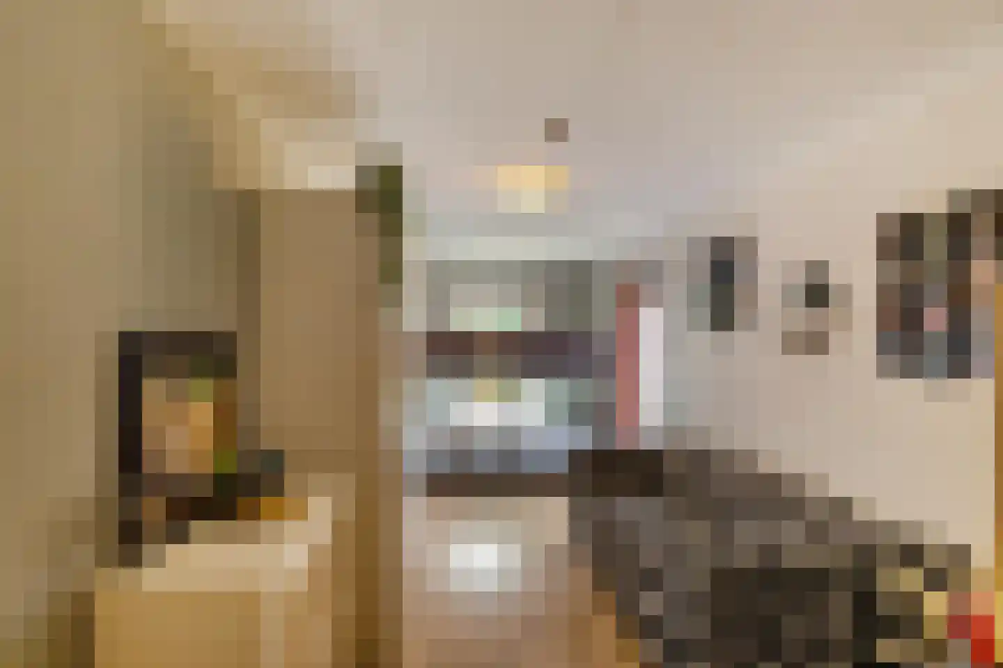 Binnen A.E. 10 Woldendorp thumbnail 46