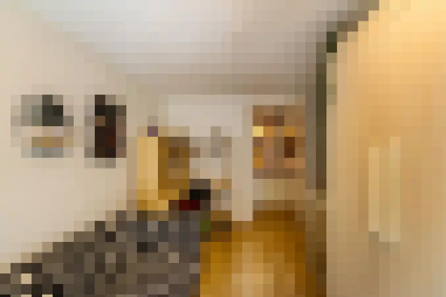 Binnen A.E. 10 Woldendorp thumbnail 48