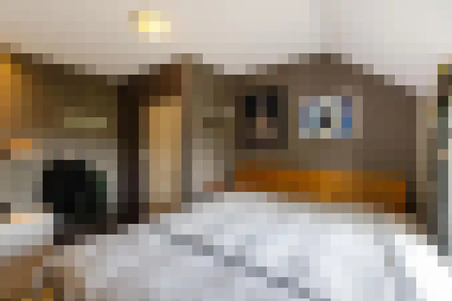 Binnen A.E. 10 Woldendorp thumbnail 51