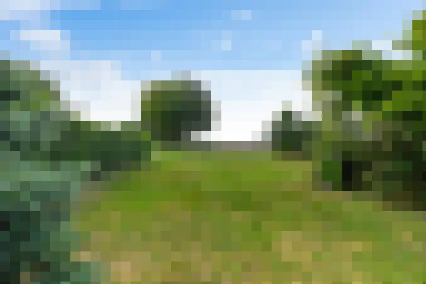 Binnen A.E. 10 Woldendorp thumbnail 53