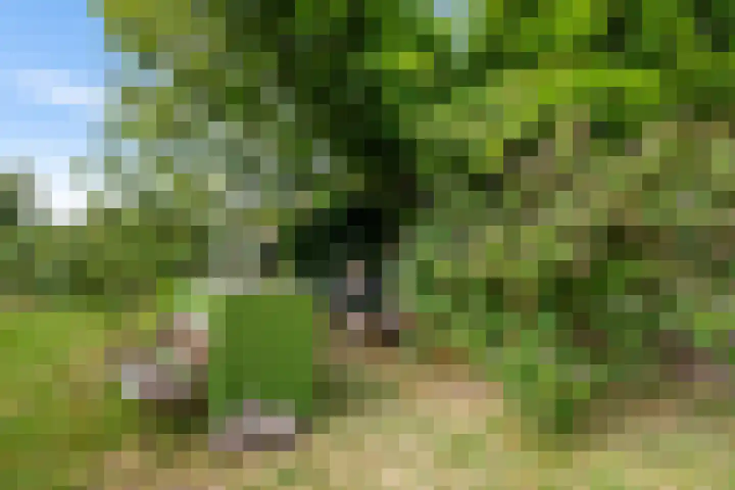 Binnen A.E. 10 Woldendorp thumbnail 54