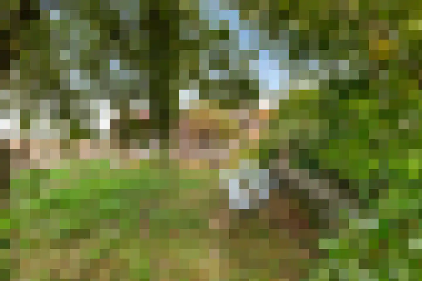 Binnen A.E. 10 Woldendorp thumbnail 60