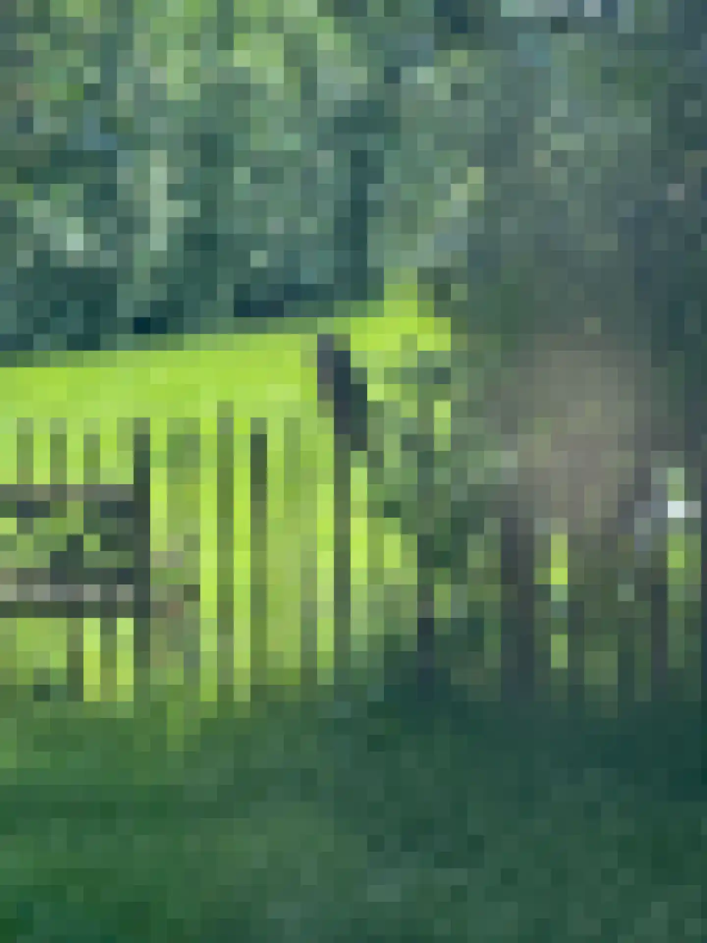 Binnen A.E. 10 Woldendorp thumbnail 61