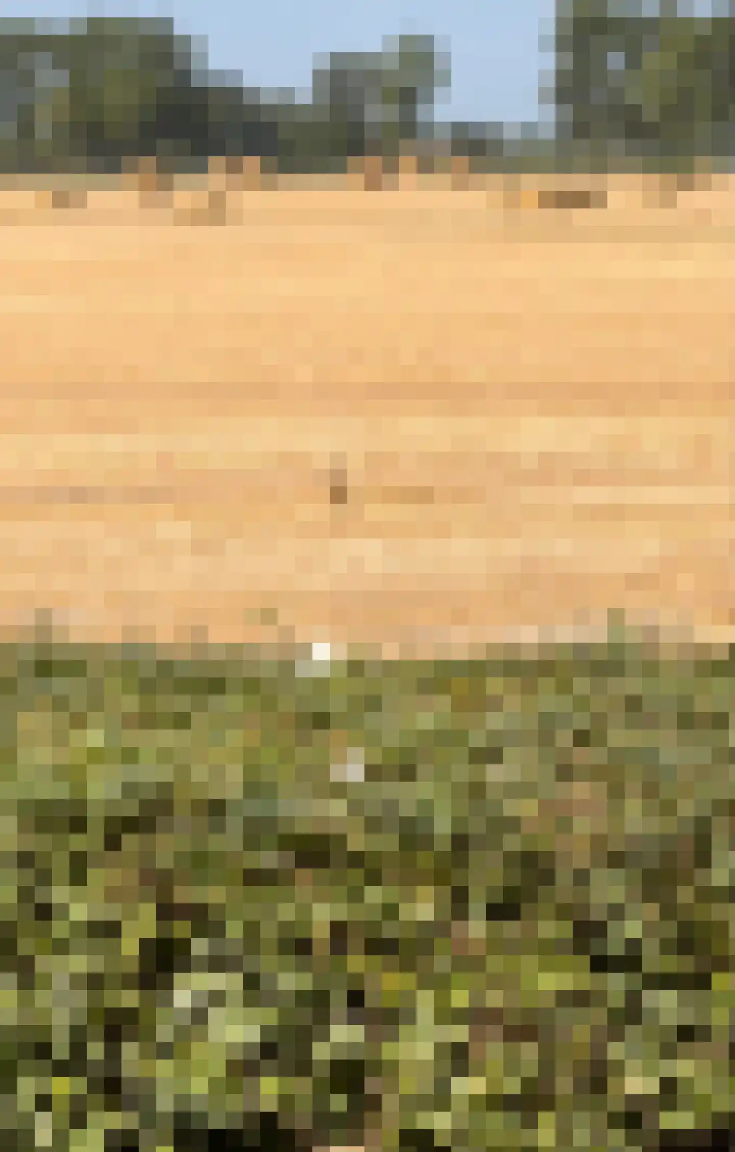 Binnen A.E. 10 Woldendorp thumbnail 62