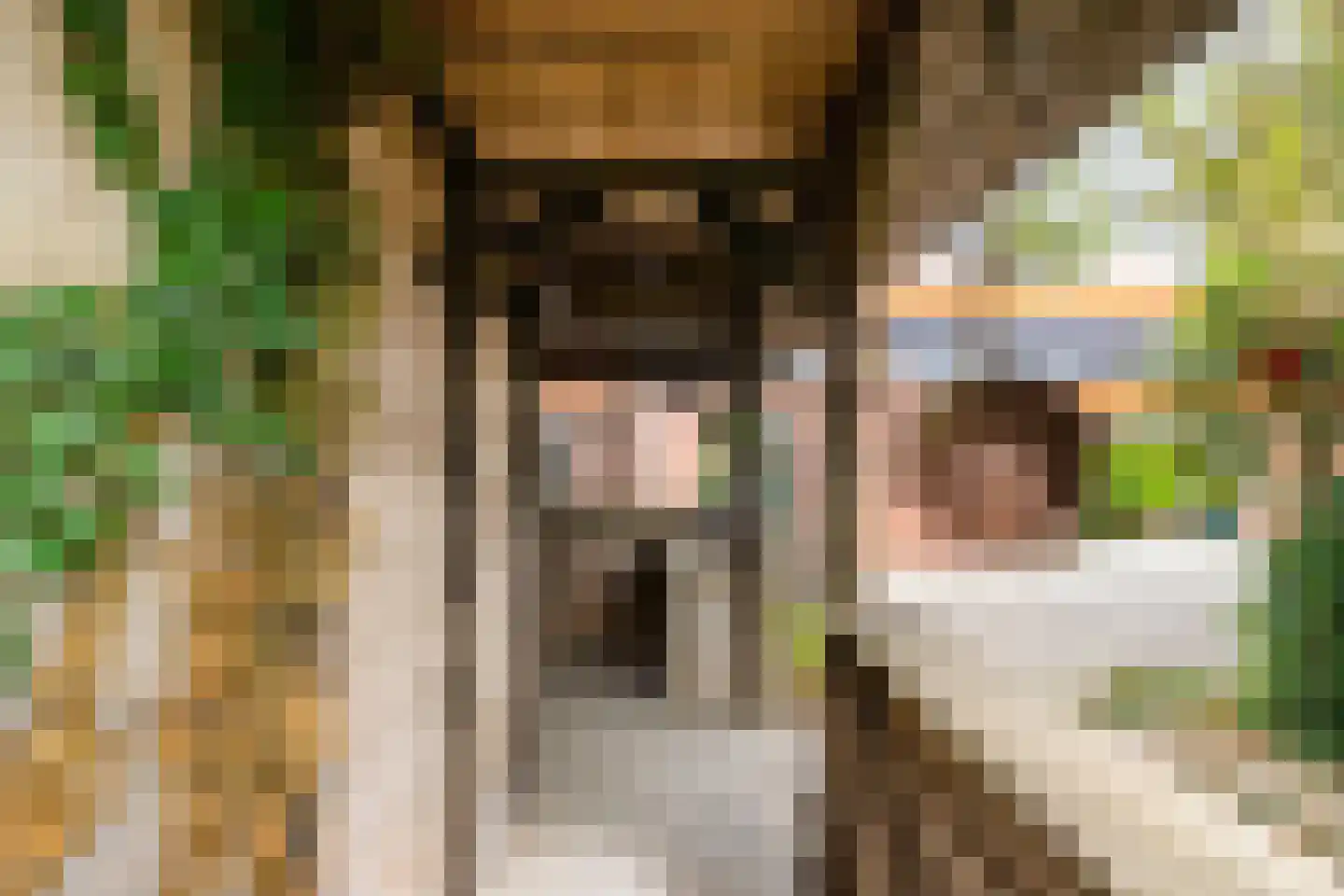 Binnen A.E. 10 Woldendorp thumbnail 66
