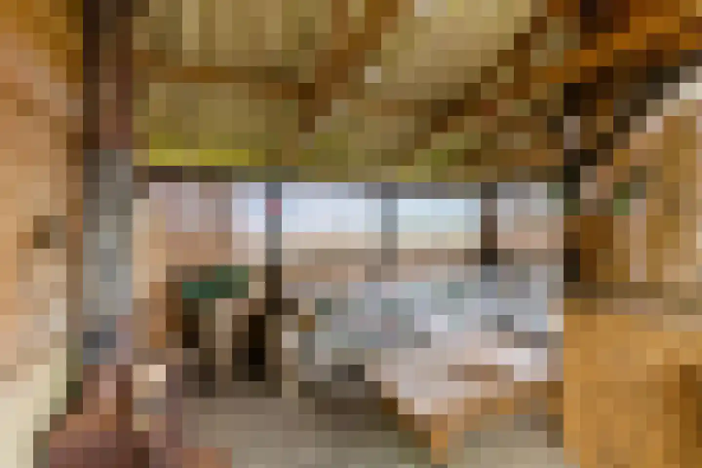 Binnen A.E. 10 Woldendorp thumbnail 67