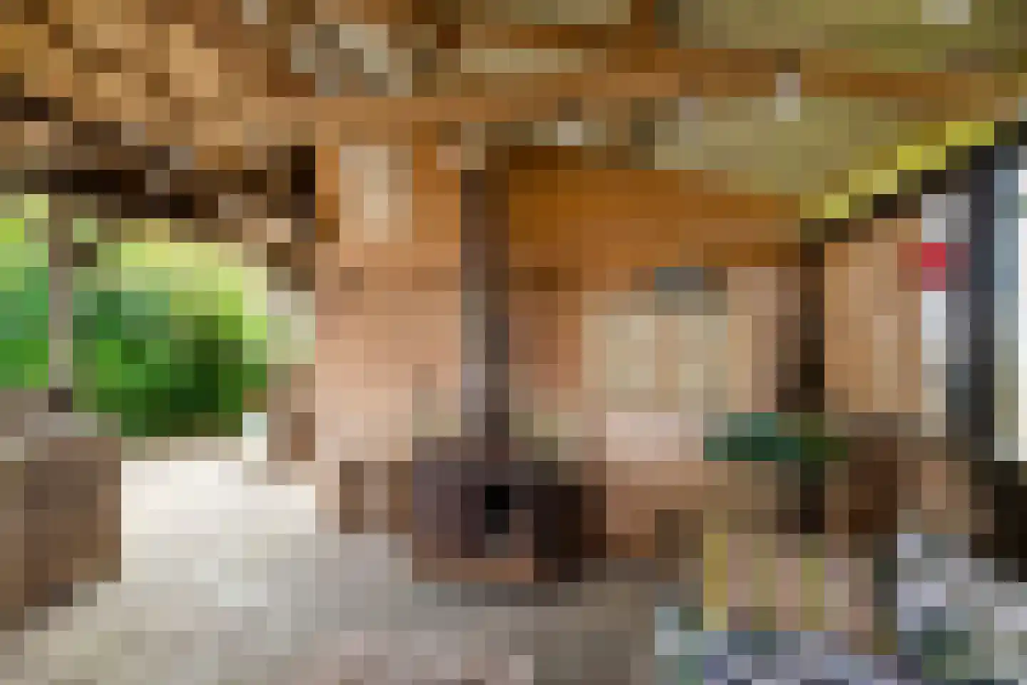 Binnen A.E. 10 Woldendorp thumbnail 69
