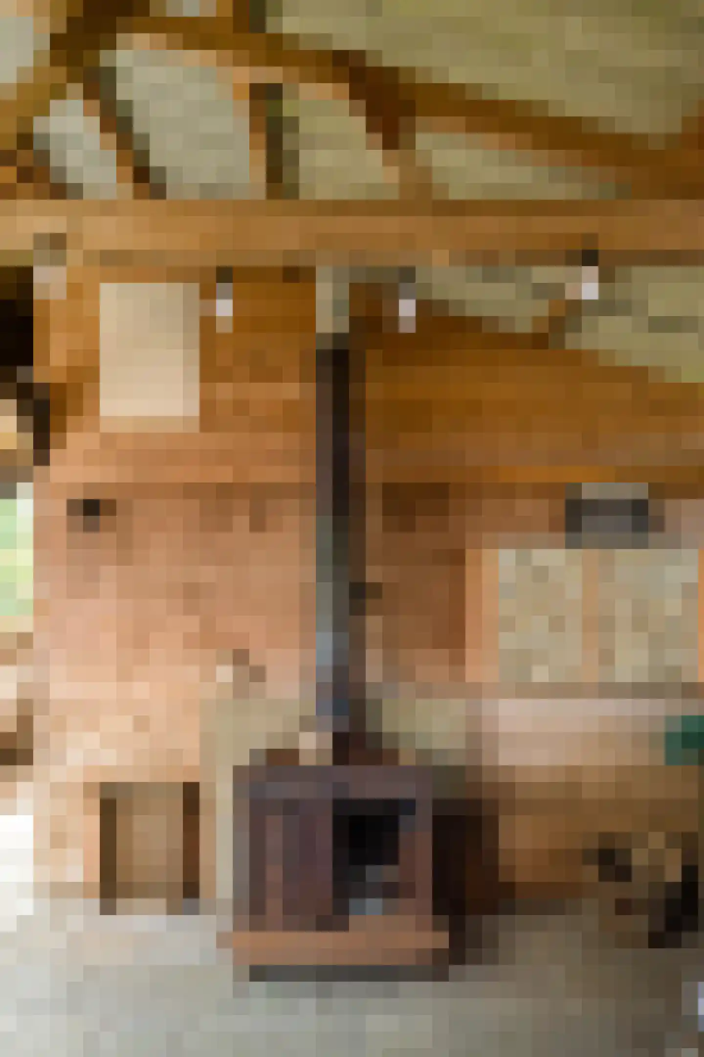 Binnen A.E. 10 Woldendorp thumbnail 71