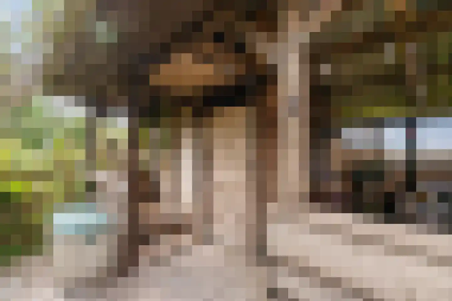Binnen A.E. 10 Woldendorp thumbnail 74