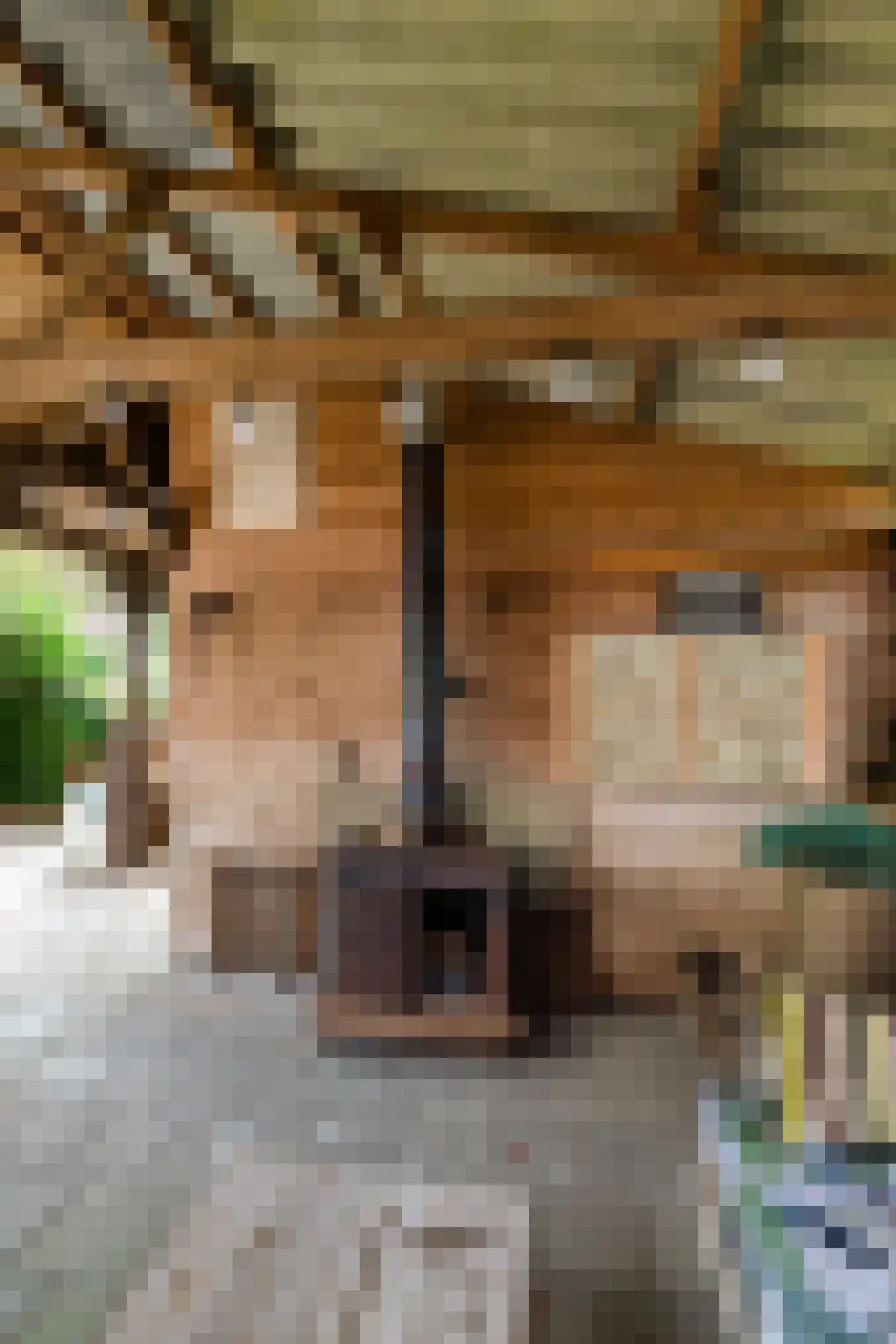 Binnen A.E. 10 Woldendorp thumbnail 75