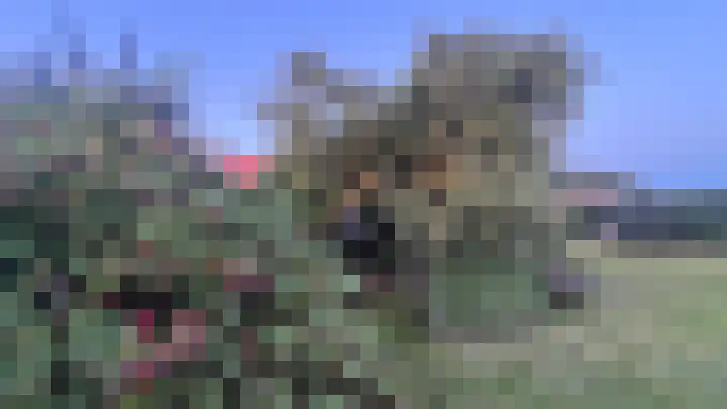 Binnen A.E. 10 Woldendorp thumbnail 83