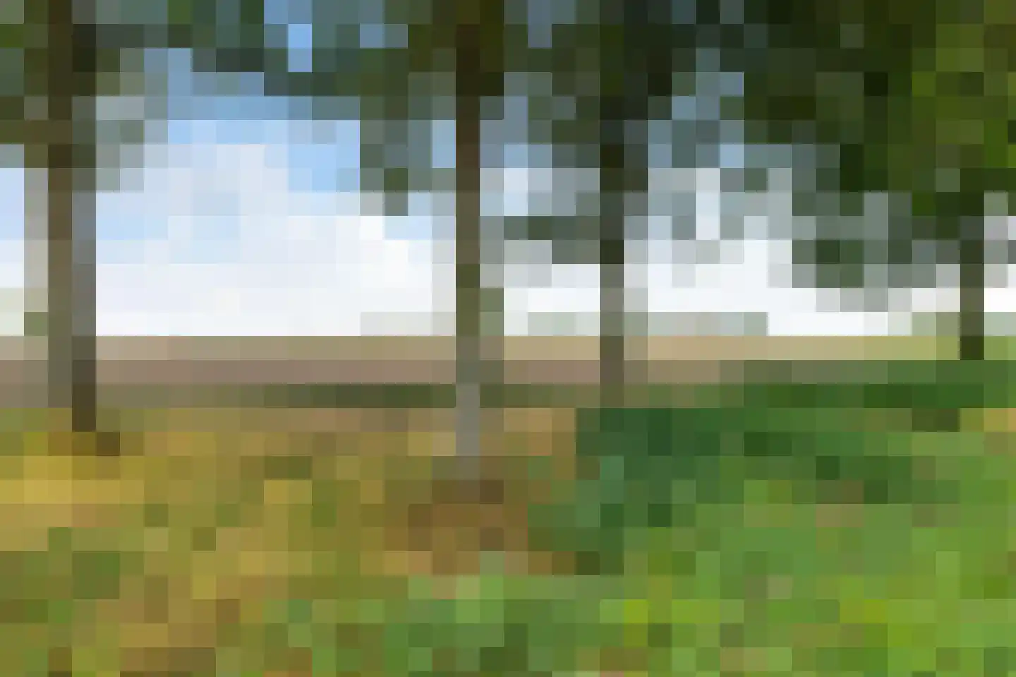 Binnen A.E. 10 Woldendorp thumbnail 86