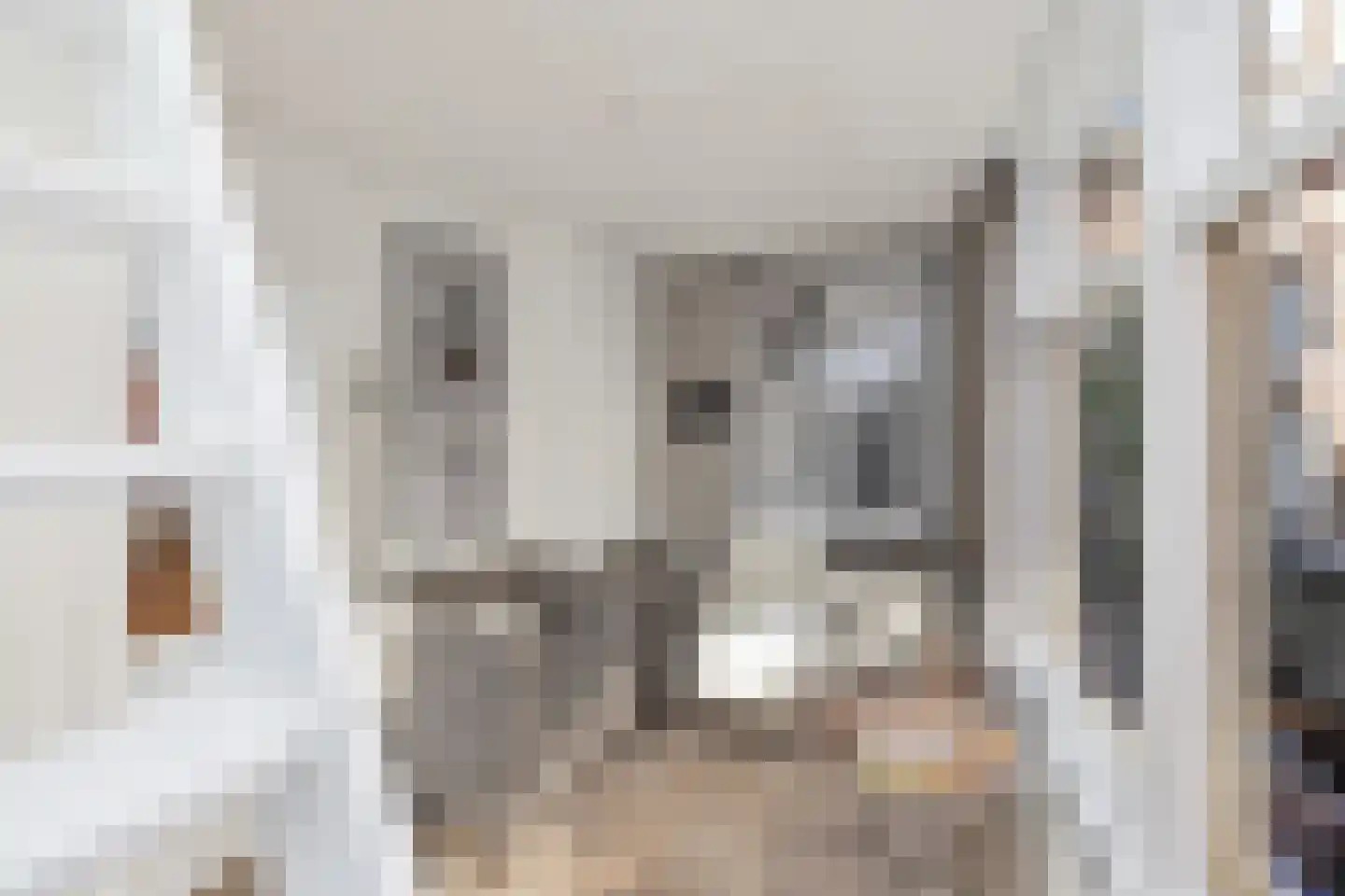 Binnen Bantammerstraat 14 Amsterdam thumbnail 17